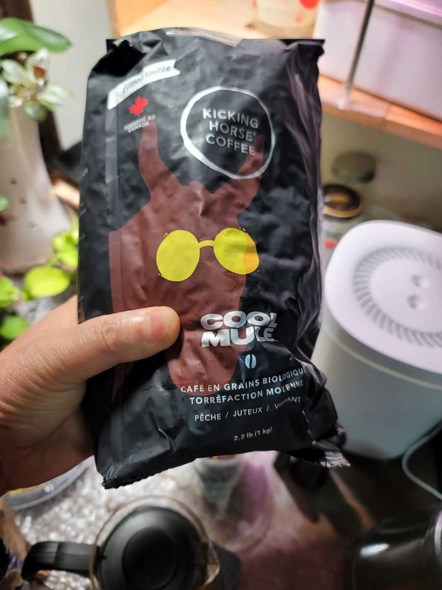 킥킹호스 쿨뮬 유기농 원두 1kg 봉지